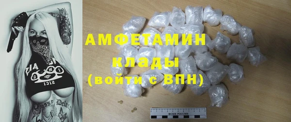трава Корсаков