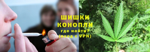 PSILOCYBIN Коряжма