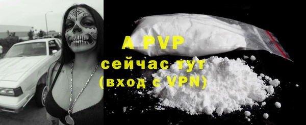 трава Корсаков