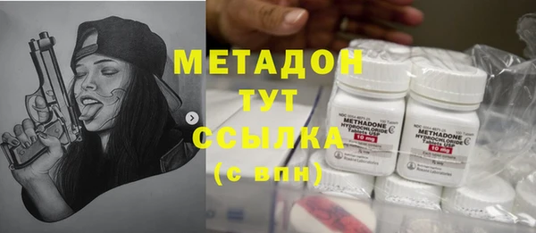 трава Корсаков