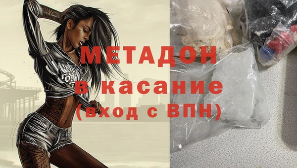 трава Корсаков