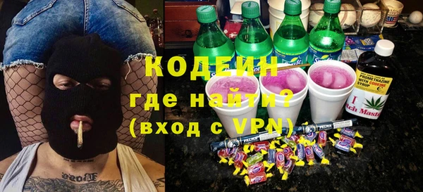 трава Корсаков