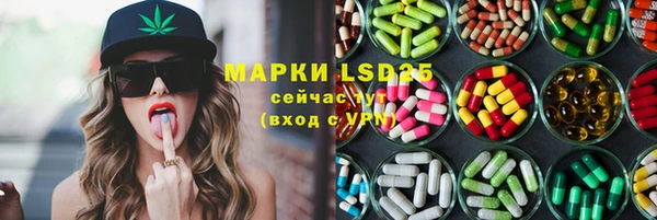 PSILOCYBIN Коряжма