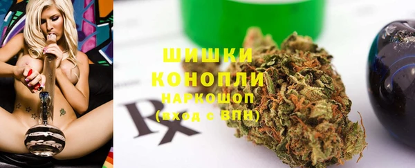 PSILOCYBIN Коряжма